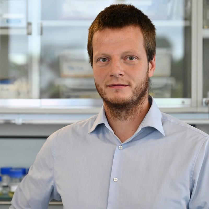 Dr. Friedrich Scholz